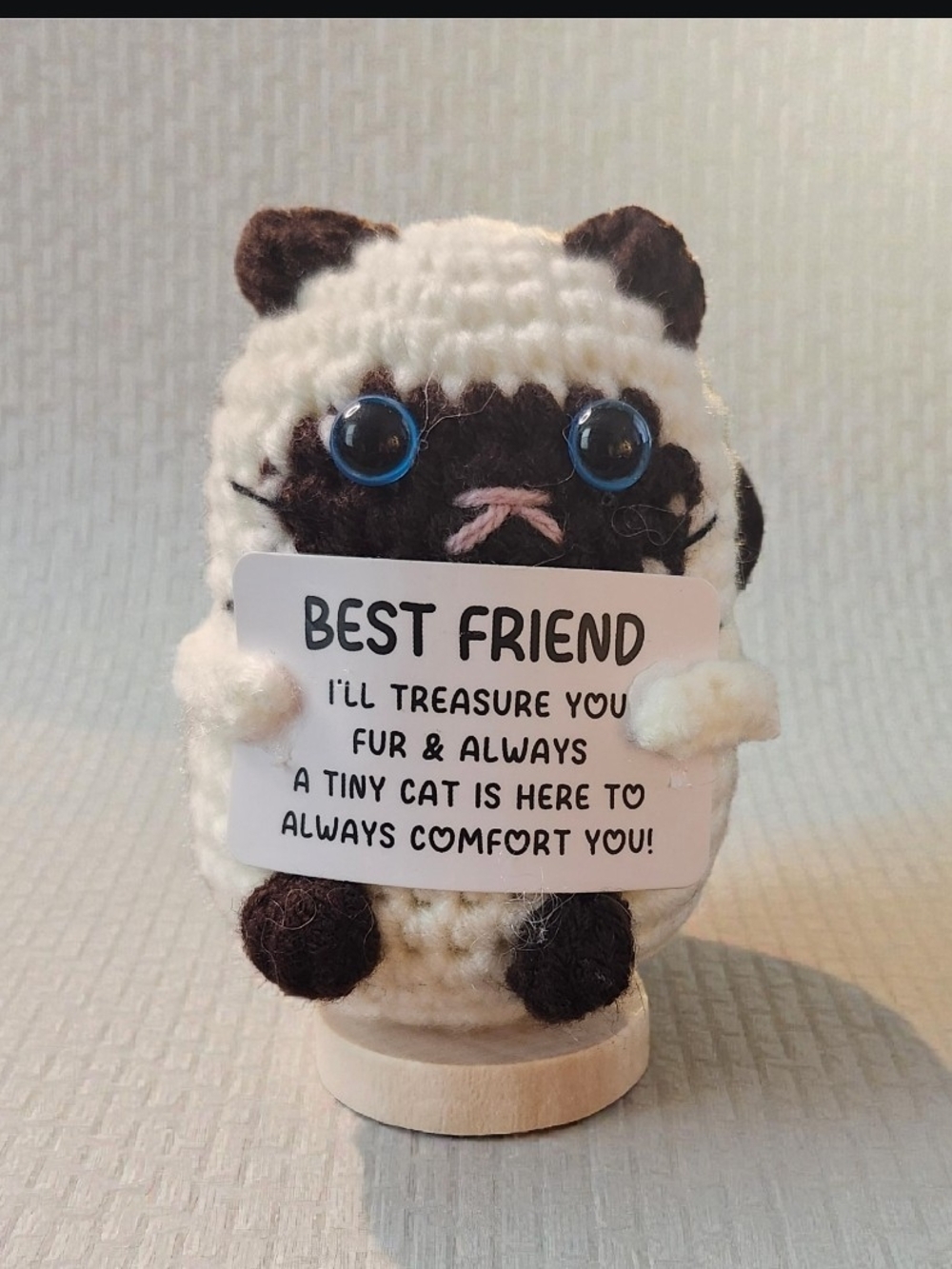 Plush Cat Holding 'Best Friend' Sign NIP